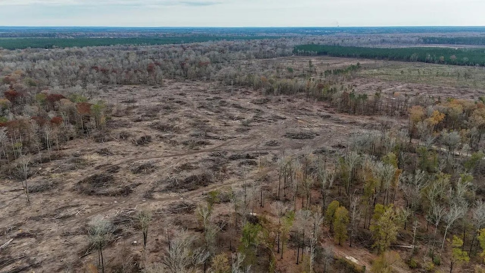 0 Big Creek Rd, Rison, AR 71665 - photo 1