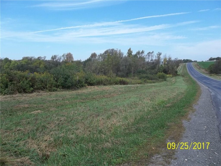 Country setting on a quiet road