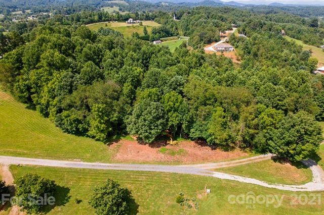 99999 May Hill Place unit A, Leicester, NC 28748 - photo 1