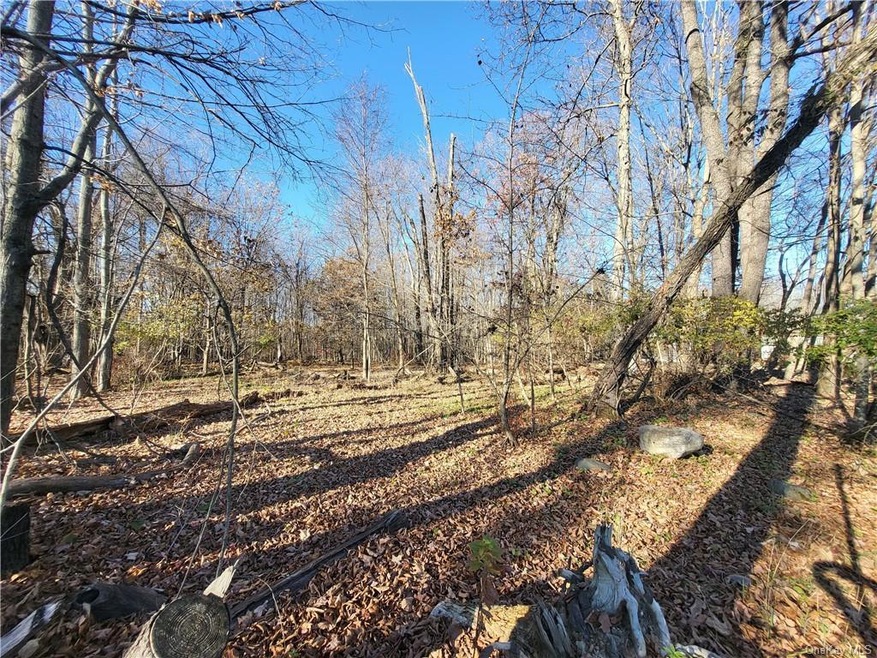 0 4th St, Mechanicstown, NY 10940 - photo 1