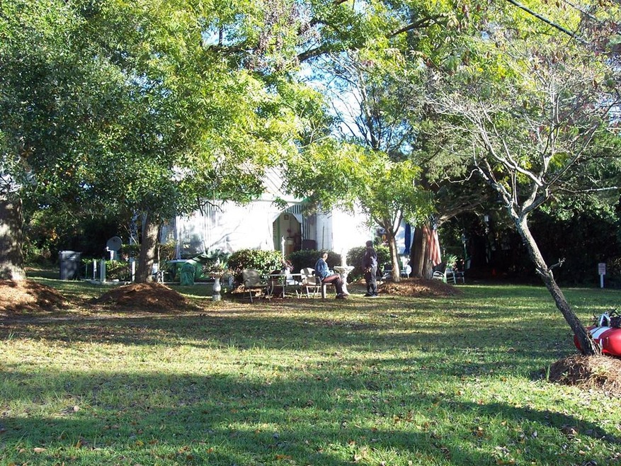 Main View