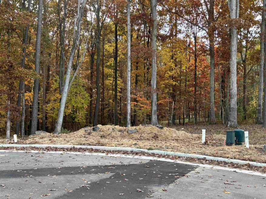 2664 Lake Waccamaw Trail, Apex, NC 27502 - photo 1