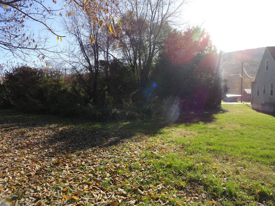 0000 Grafton St, Clifton Forge, VA 24422 - photo 1