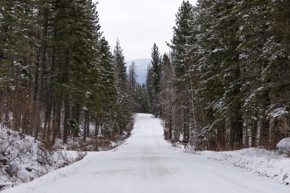 Road to property
