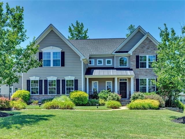 17007 Meadow Sage Dr, Moseley, VA 23120 - photo 1