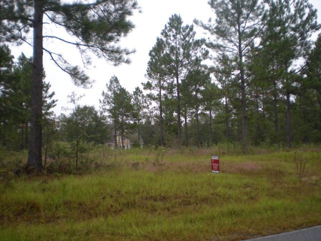 0 Fairway Dr unit 12050, Vidalia, GA 30474 - photo 1