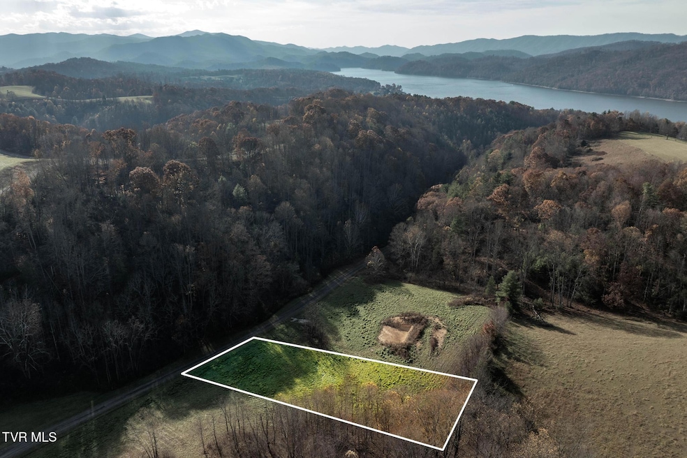 Lot 18 Silver Oak Trail, Butler, TN 37640 - photo 1