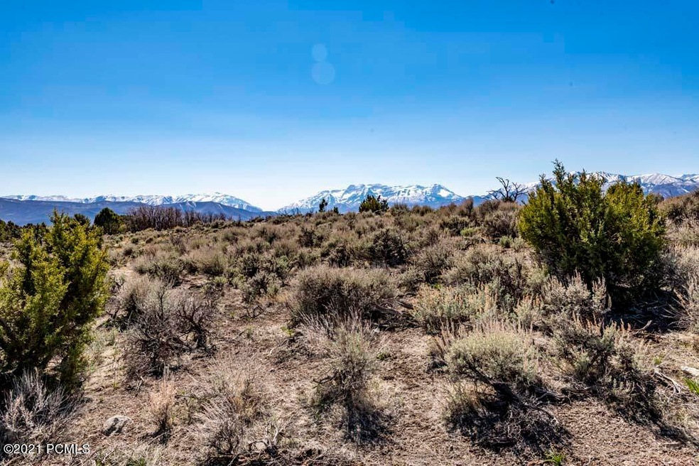 0_Lot-View_high_3651443