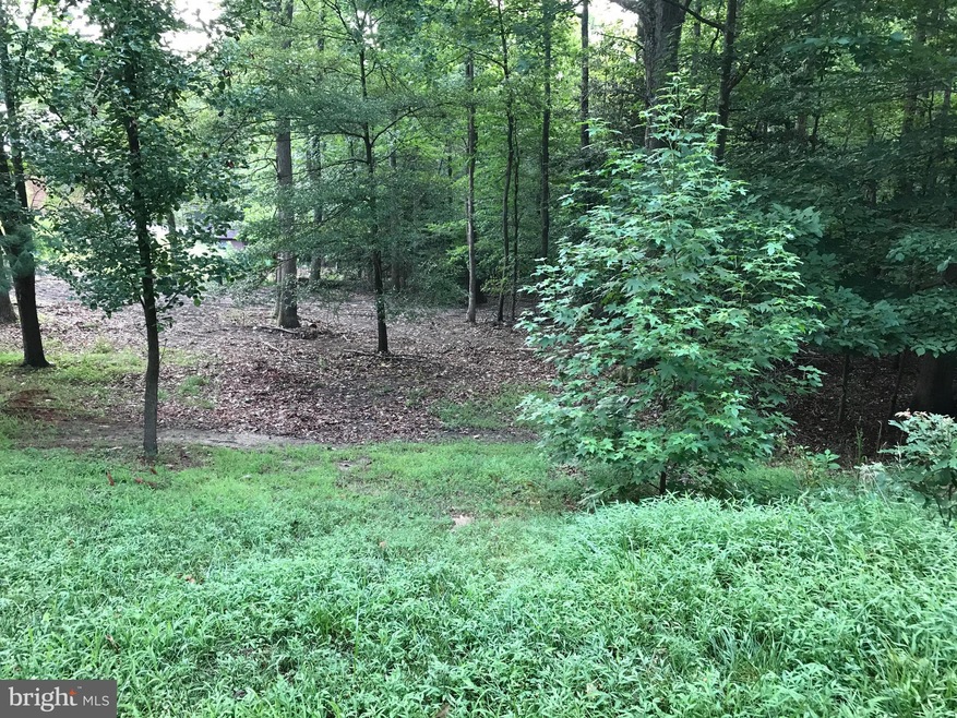 16006 Baden Naylor Rd, Brandywine, MD 20613 - photo 1