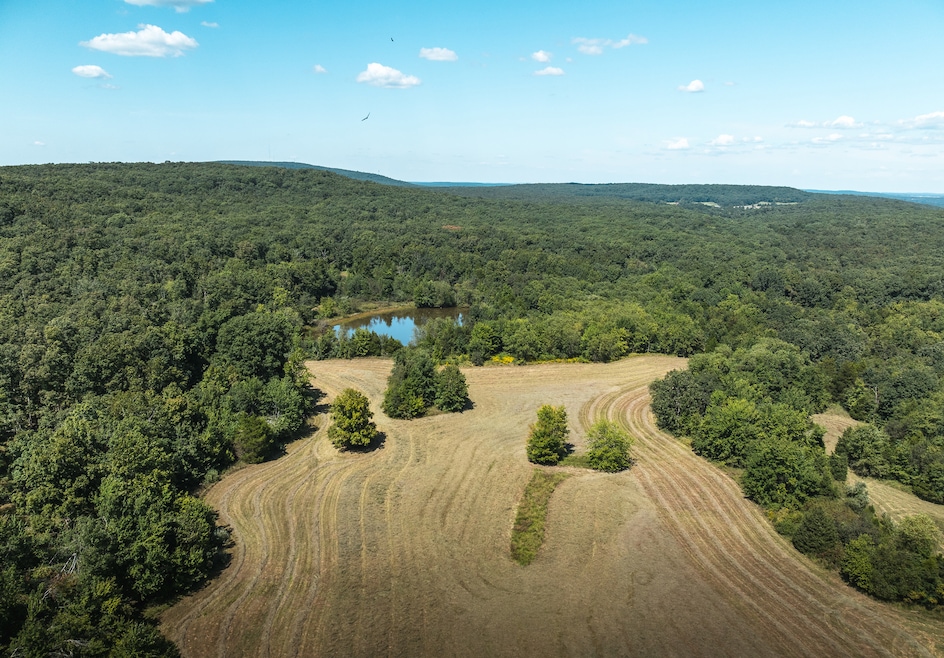 0 Highway 221 unit 11571616, Ironton, MO 63650 - photo 1