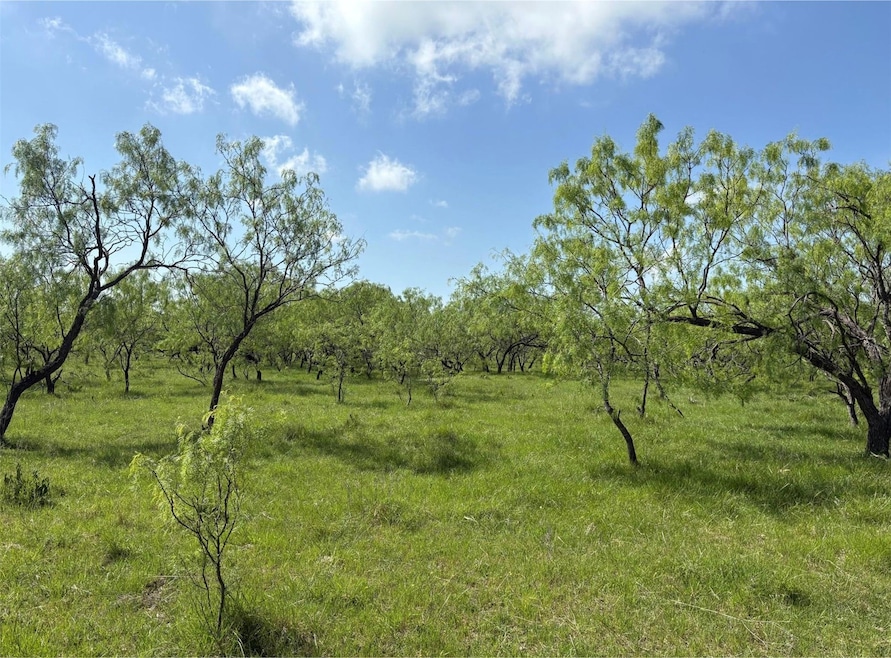 TBD 00 County Road 4160, Frost, TX 76641 - photo 1