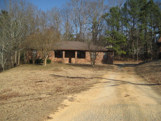 Main View