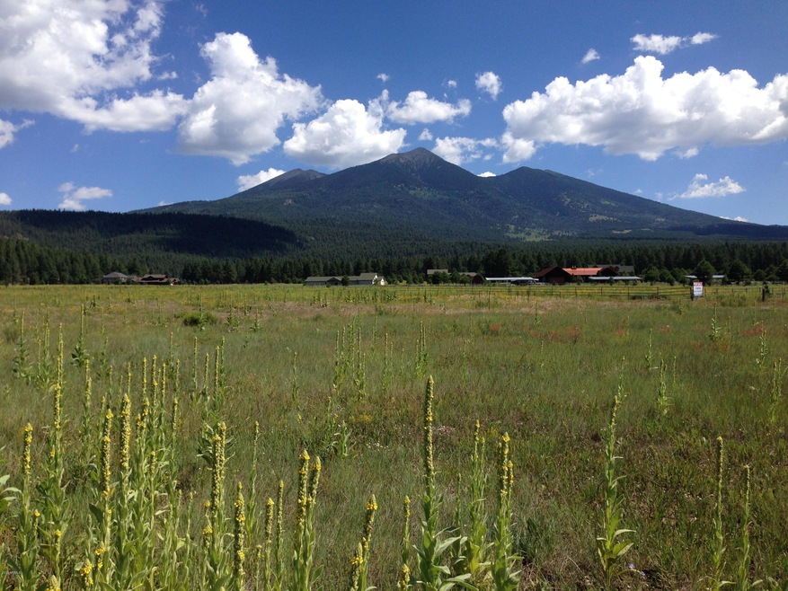 Northeast