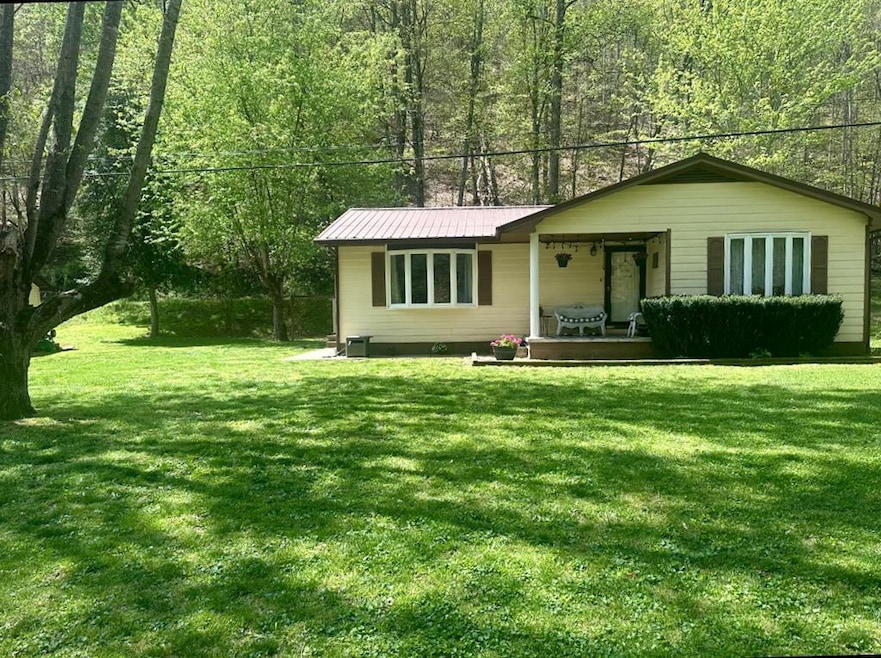 Main View