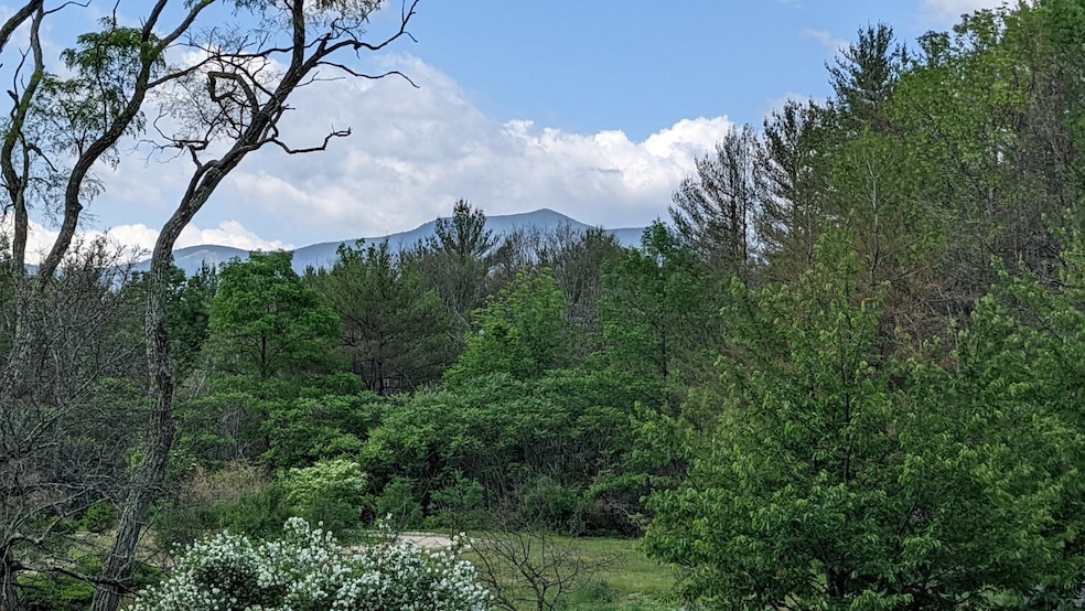 00 Nh Route 16a, Bartlett, NH 03845 - photo 1