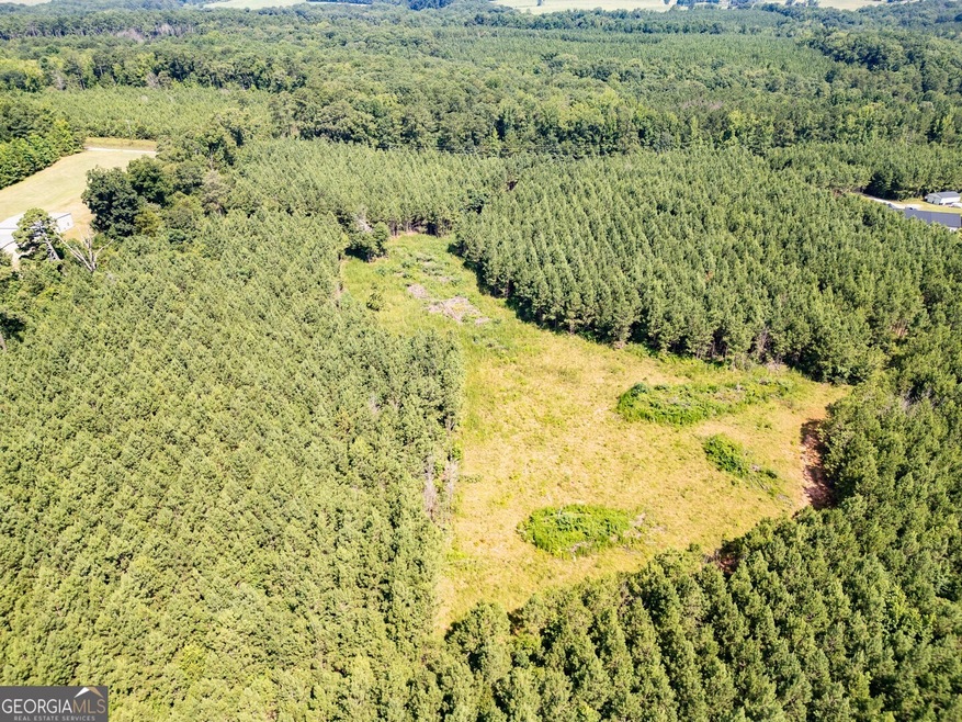 0 7 Island Rd unit 10560556, Monticello, GA 31064 - photo 1