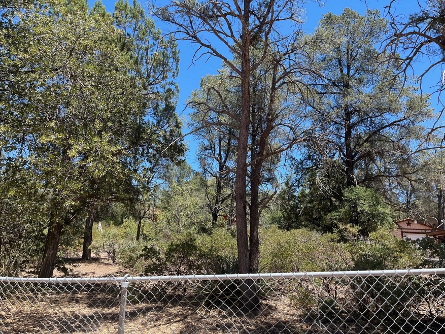 APN 304-07-010i, Payson, AZ 85541 - photo 1