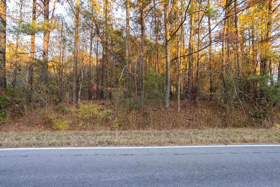 0 Lake Rd unit 1382412, Tunnel Hill, GA 30755 - photo 1