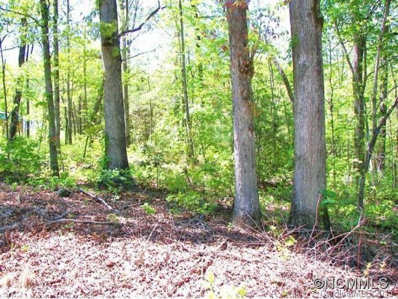 Beautiful Hardwoods