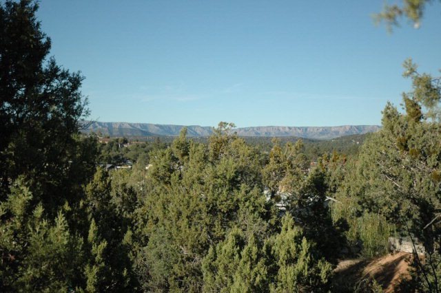 Primary Photo
