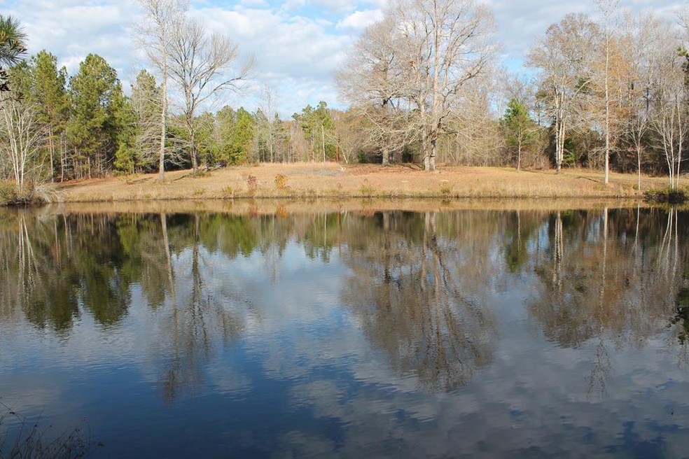 0 Highway 220 unit 449638, Lincolnton, GA 30817 - photo 1