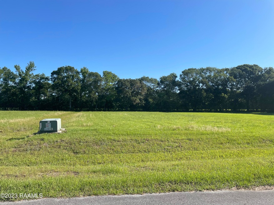 Lot 9