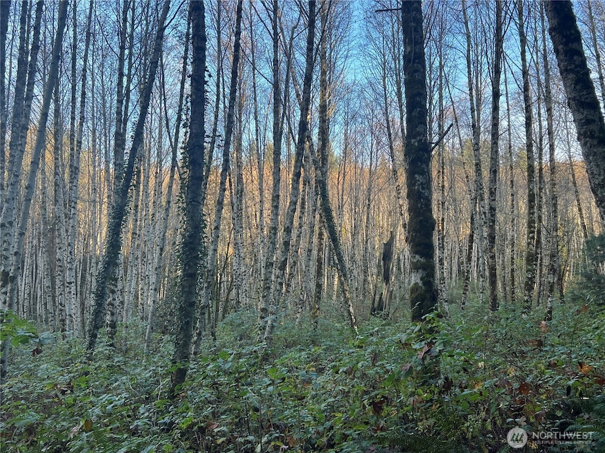 1 XX View Dr NE, Poulsbo, WA 98370 - photo 1