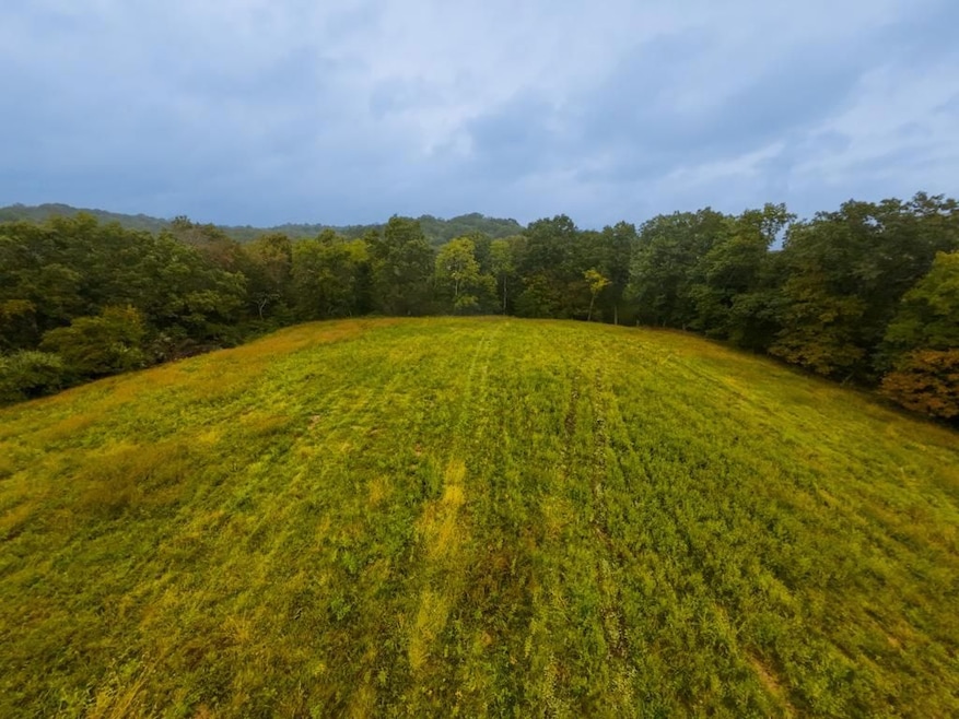 29500 Houston Rd, Little Hocking, OH 45742 - photo 1