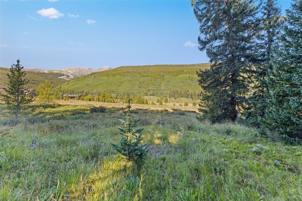View of local wilderness featuring a mountain view