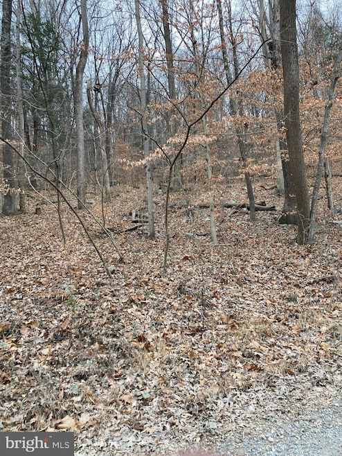 0 Reynolds Dr, Shenandoah, VA 22630 - photo 1