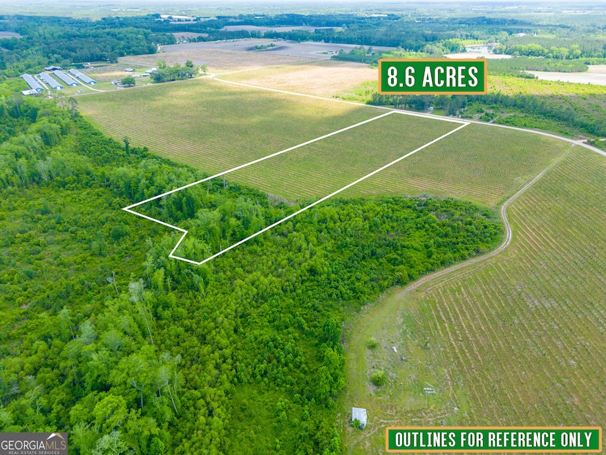 Tract 9 Sellers Rd, Baxley, GA 31513 - photo 1