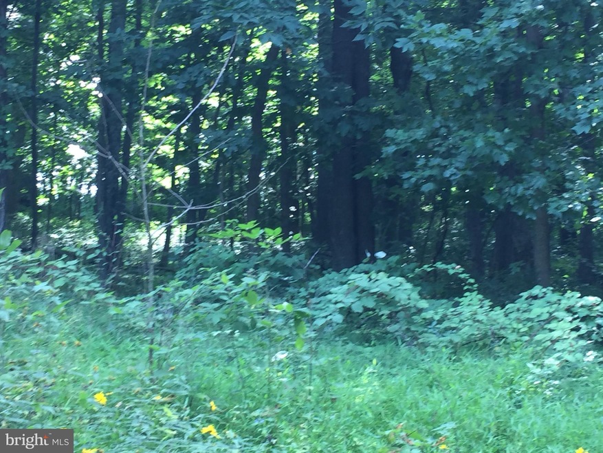 30 Luchase Rd unit VAWR141564, Linden, VA 22642 - photo 1