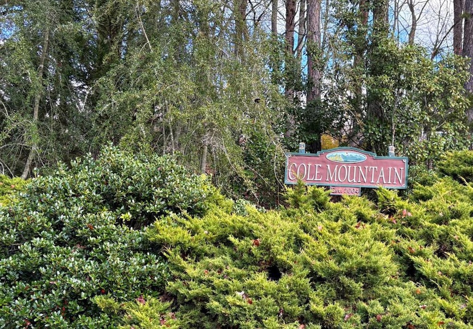 Lot 17 Blue Cedar Rd, Sylva, NC 28779 - photo 1