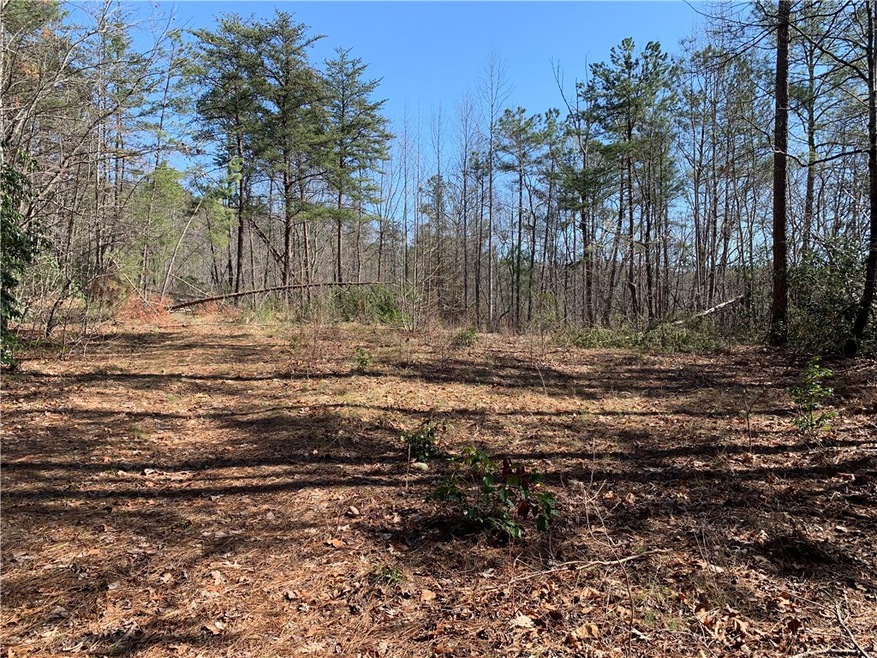 00 Ridge Rd, Tamassee, SC 29686 - photo 1