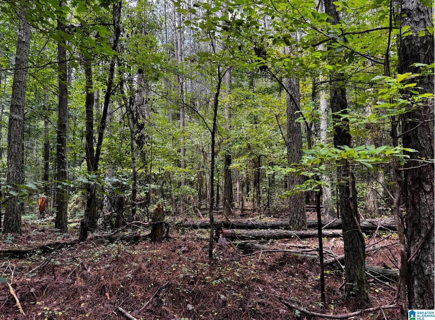 3050 McClendon Chapel Rd, Bessemer, AL 35022 - photo 1