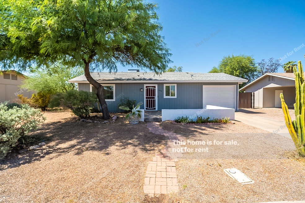 408 N Los Feliz Dr, Chandler, AZ 85226 - photo 1