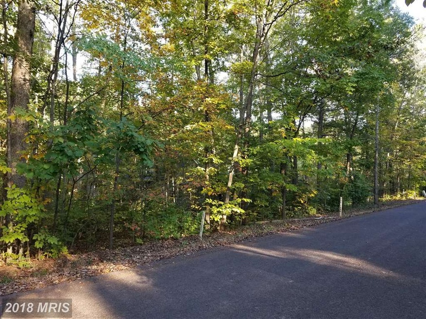 112 Tall Pines Ave, Locust Grove, VA 22508 - photo 1