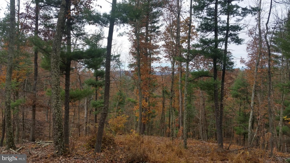 180 Spring Hollow Ln, Great Cacapon, WV 25422 - photo 1