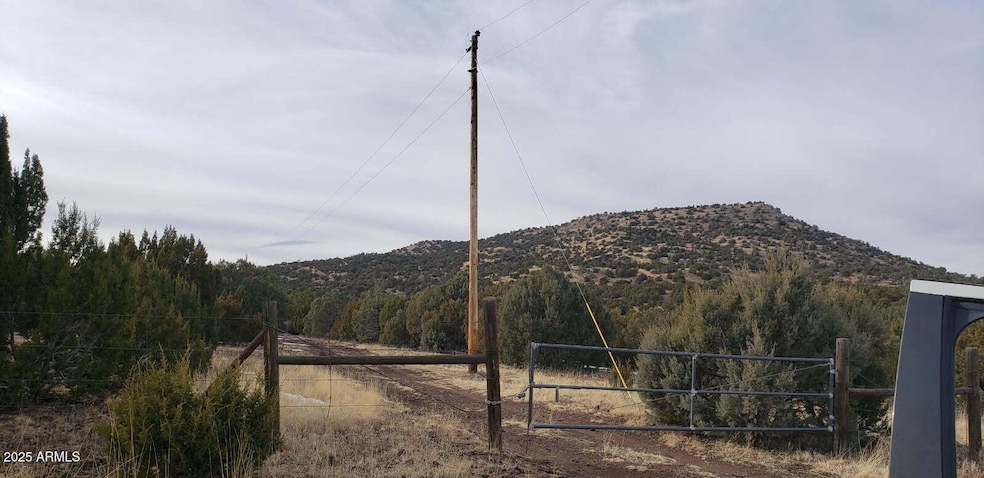 10755029D N 0 -- unit 29-4, Concho, AZ 85924 - photo 1