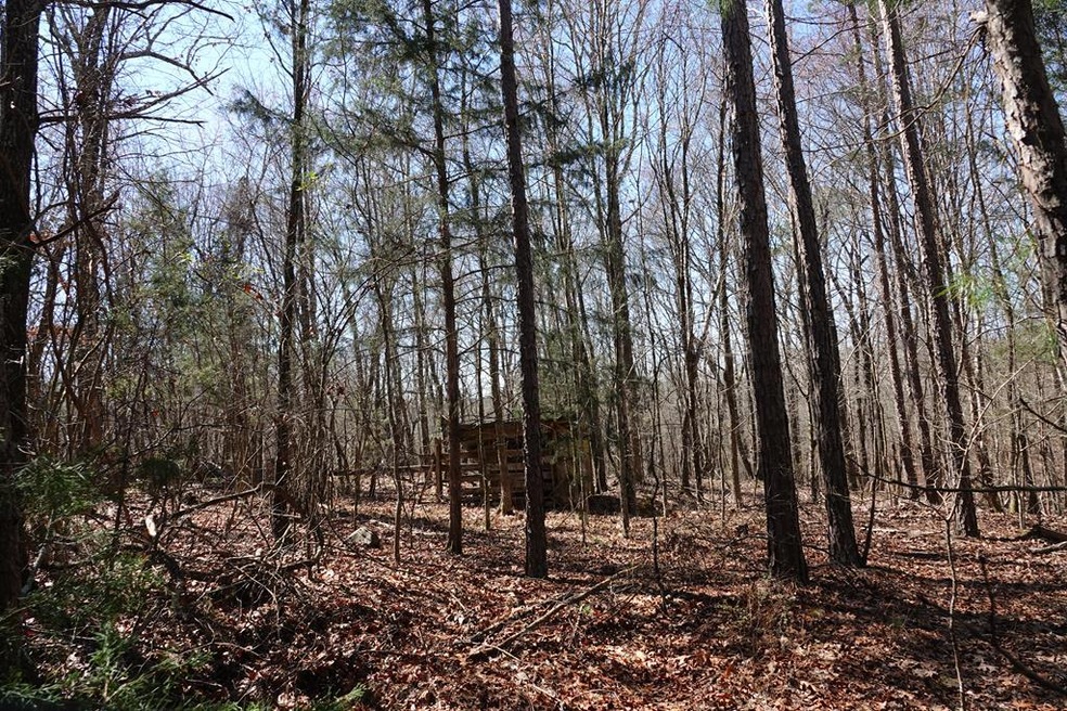 TBD County Road 451, Oxford, MS 38655 - photo 1