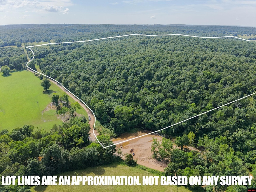 13-0.4-20-000-0 Cr 544, Caulfield, MO 65626 - photo 1