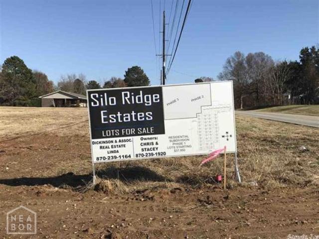 1310 N 30th St, Paragould, AR 72450 - photo 1