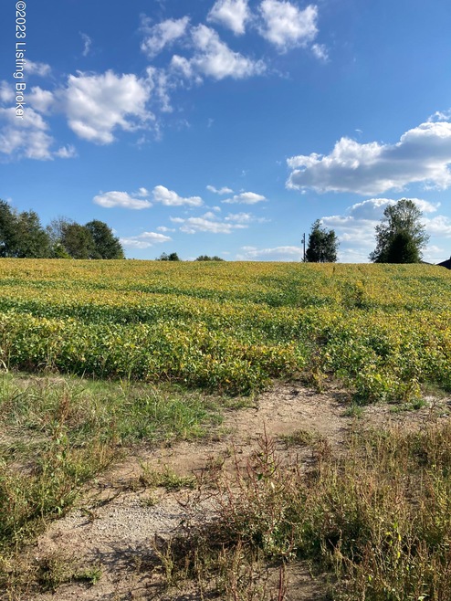 3295 Lawrenceburg Rd, Bloomfield, KY 40008 - photo 1