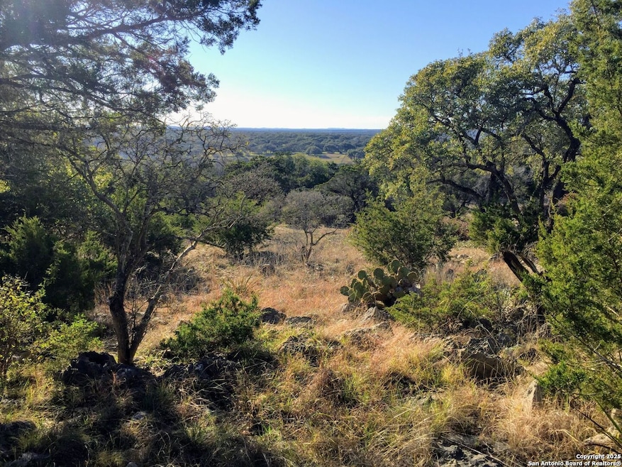 447 Coyote Trail, Spring Branch, TX 78070 - photo 1