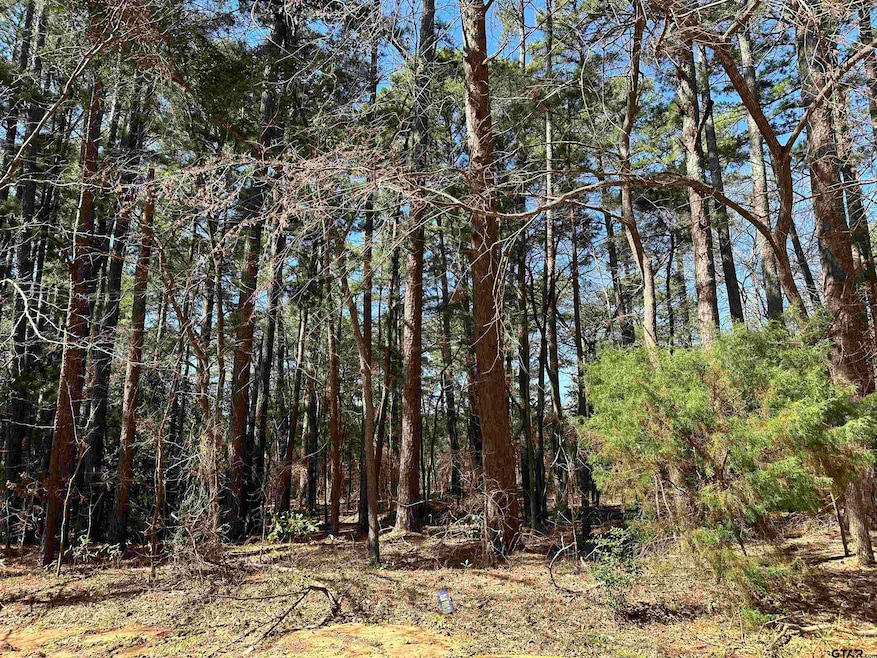 For Sale $10,000 • Co-Listing Agent