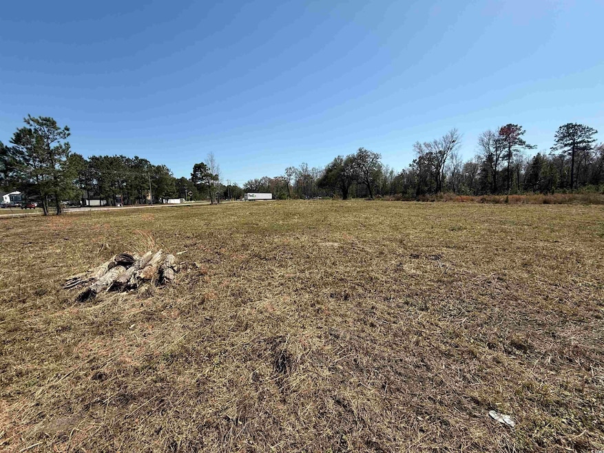 183 S Carolina 66 unit 20 SFR Lots Hwy 905, Conway, SC 29526 - photo 1