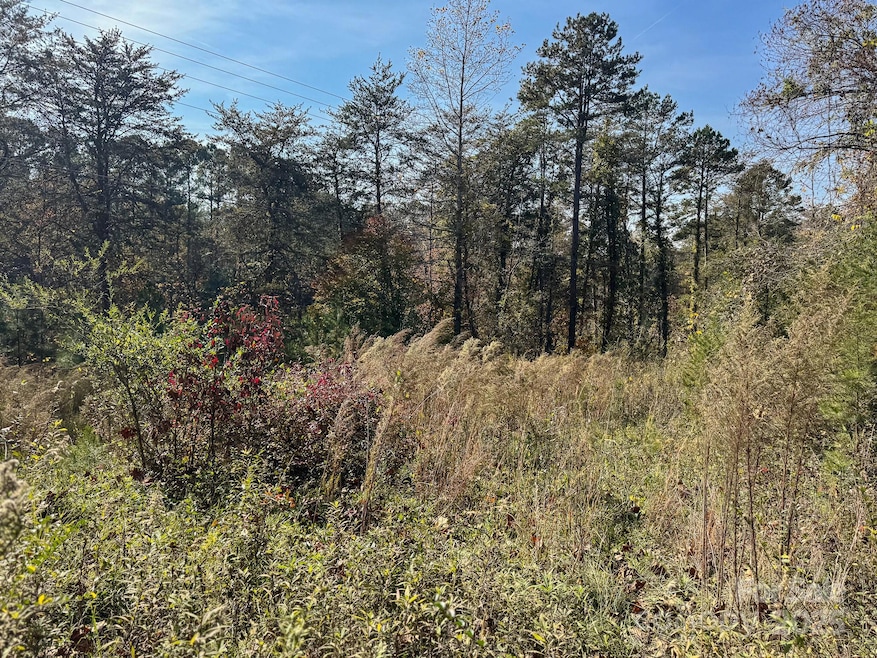 3510 U S 64, Rutherfordton, NC 28139 - photo 1