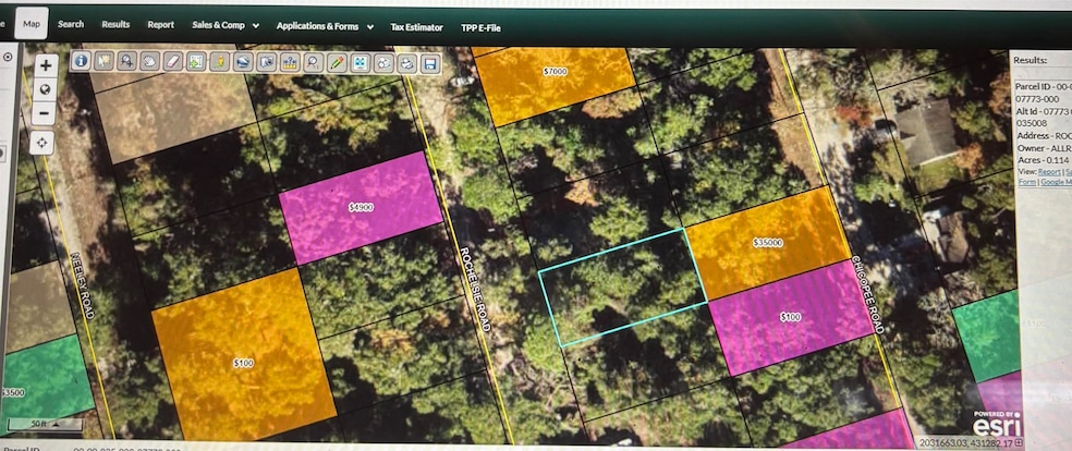 133 Rochelise Rd, Crawfordville, FL 32327 - photo 1