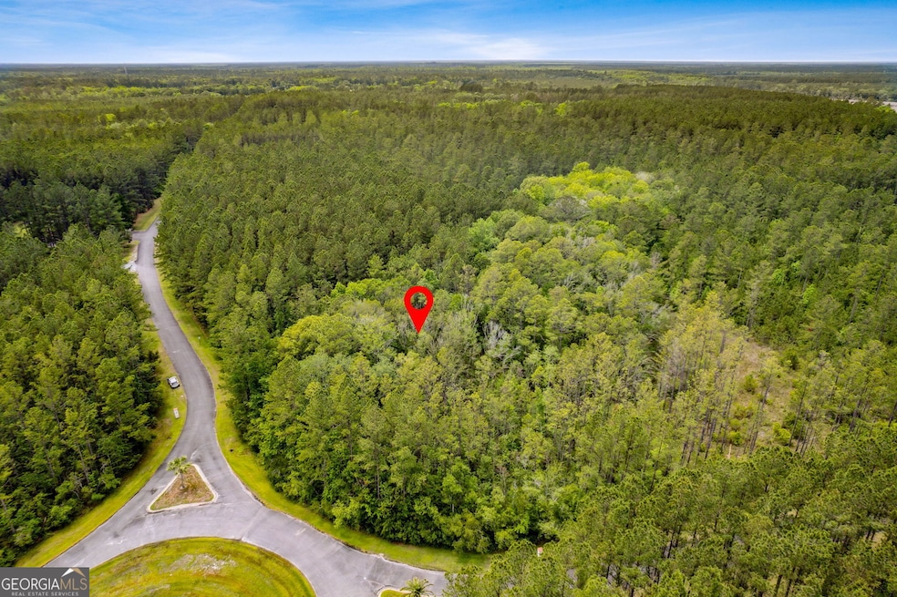 V/L 018 La Vento Ln, Waverly, GA 31565 - photo 1