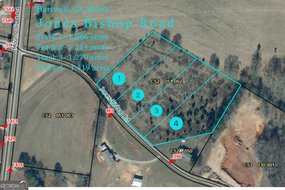 TRACT 1 Jones Bishop Rd, Hartwell, GA 30643 - photo 1